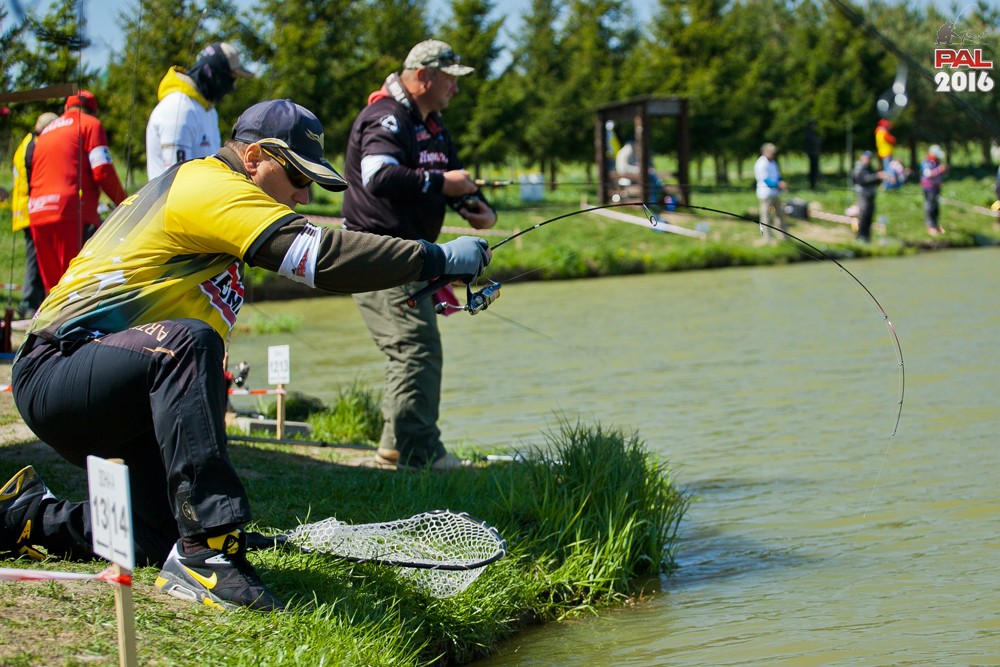 Дневник весеннего турнира Pro Anglers League Trout 2016. Галерея фото 32