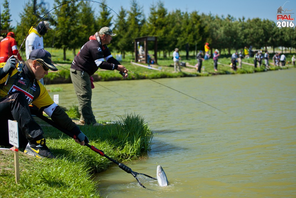 Дневник весеннего турнира Pro Anglers League Trout 2016. Галерея фото 33