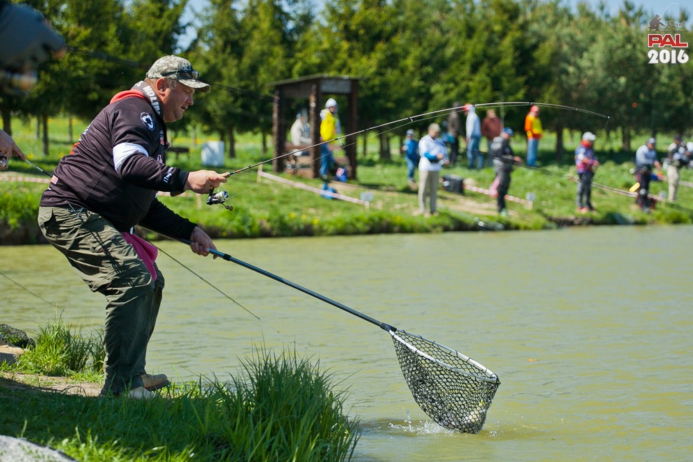 Дневник весеннего турнира Pro Anglers League Trout 2016. Галерея фото 35