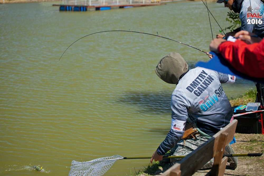 Дневник весеннего турнира Pro Anglers League Trout 2016. Галерея фото 44