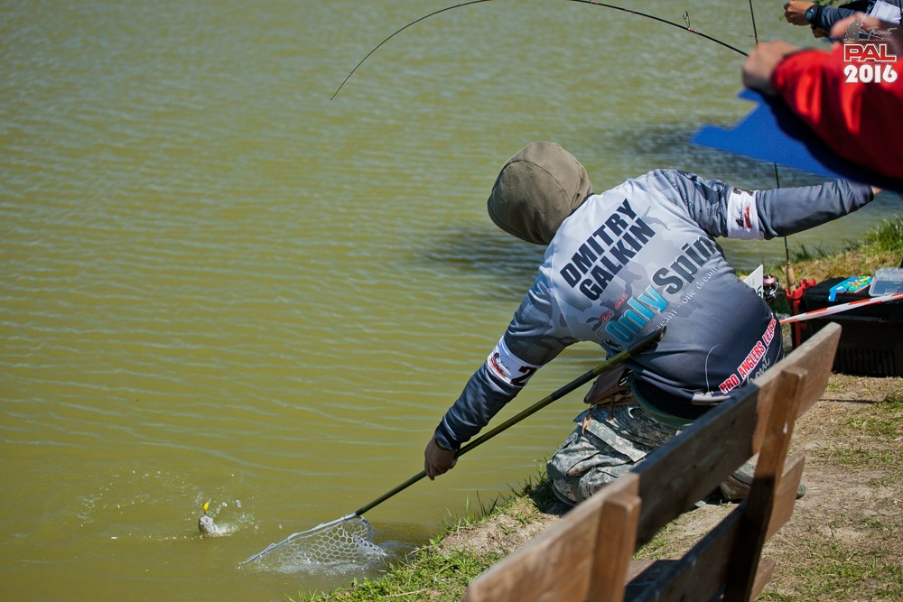 Дневник весеннего турнира Pro Anglers League Trout 2016. Галерея фото 45