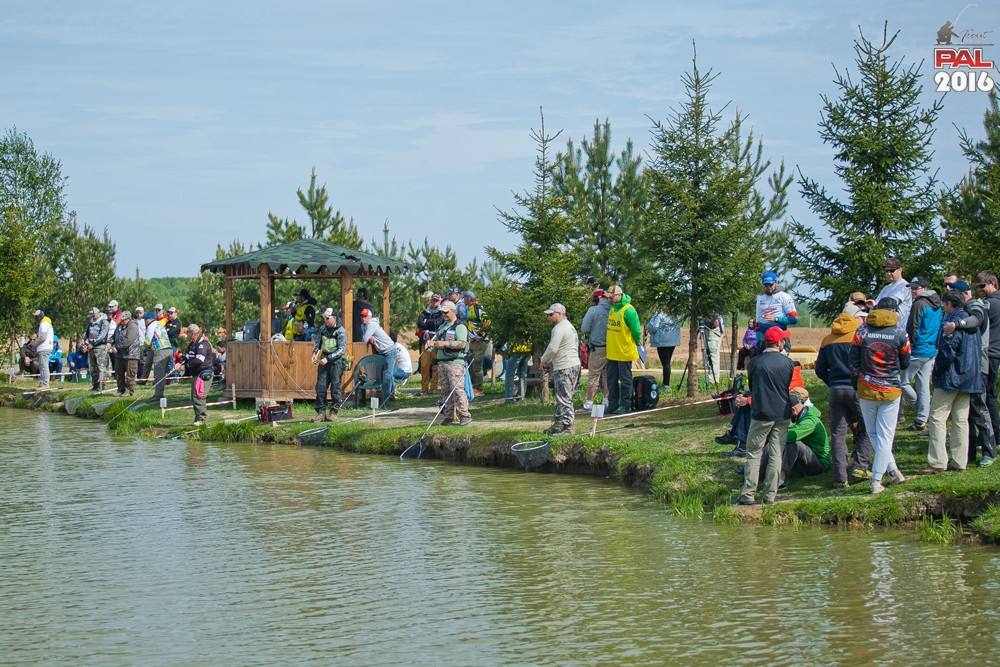 Дневник весеннего турнира Pro Anglers League Trout 2016. Галерея фото 23