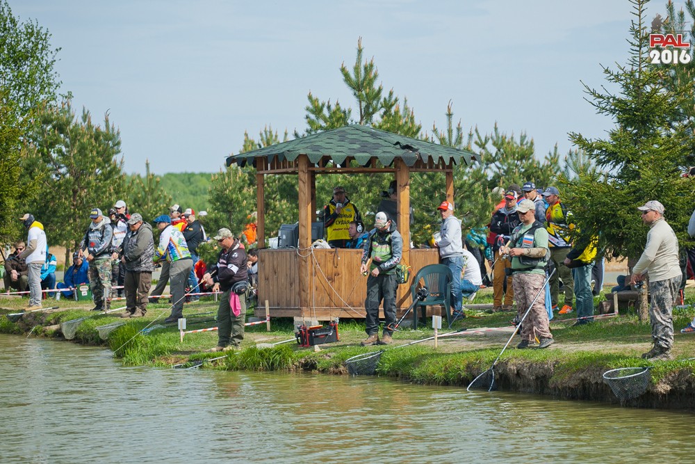 Дневник весеннего турнира Pro Anglers League Trout 2016. Галерея фото 24