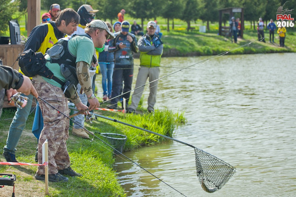 Дневник весеннего турнира Pro Anglers League Trout 2016. Галерея фото 33