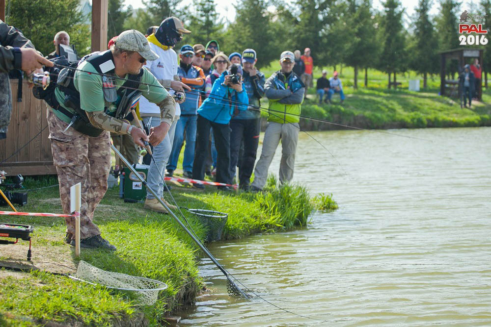 Дневник весеннего турнира Pro Anglers League Trout 2016. Галерея фото 34