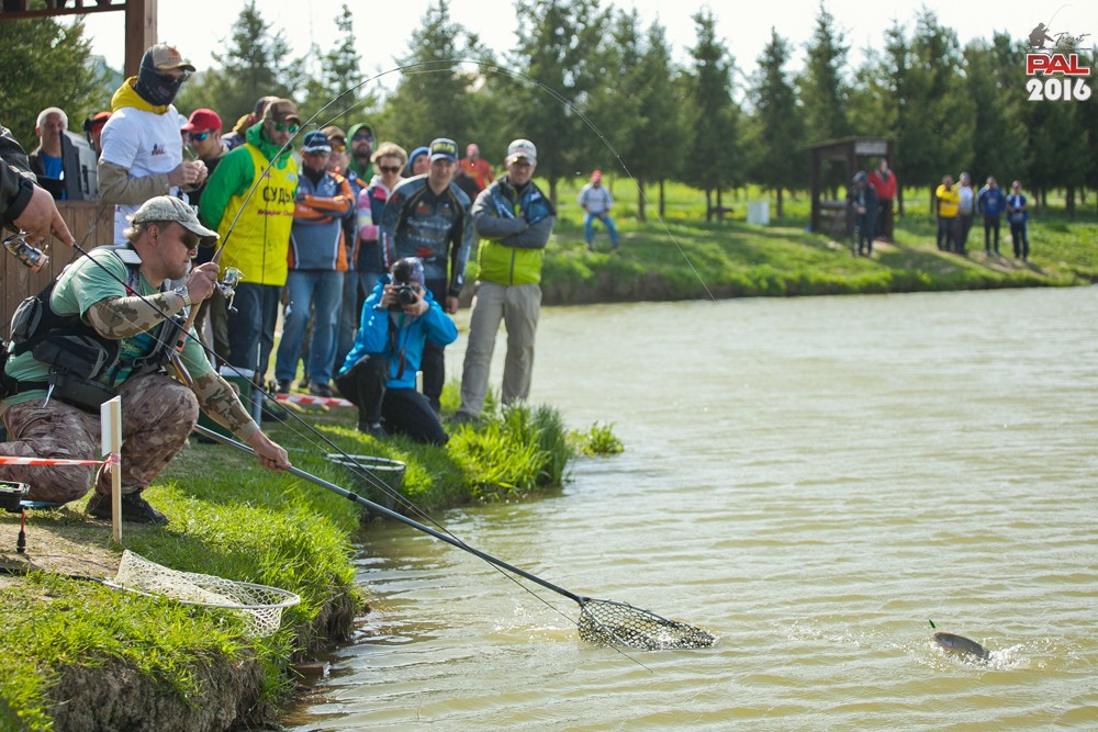 Дневник весеннего турнира Pro Anglers League Trout 2016. Галерея фото 35