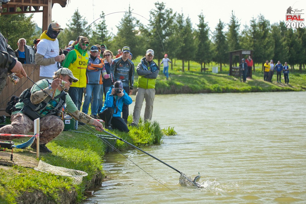 Дневник весеннего турнира Pro Anglers League Trout 2016. Галерея фото 36