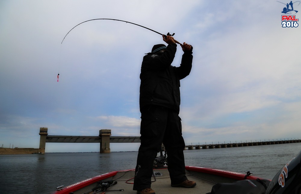 Дневник отборочного этапа турнира Pro Anglers League 2016. Галерея фото 4