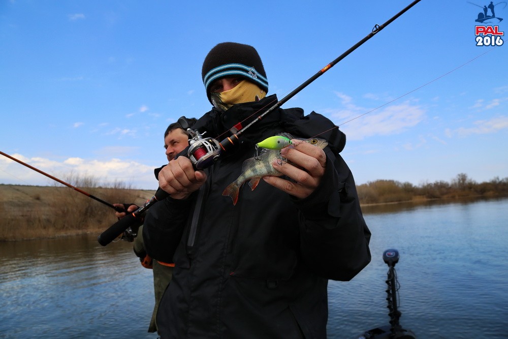 Дневник отборочного этапа турнира Pro Anglers League 2016. Галерея фото 5