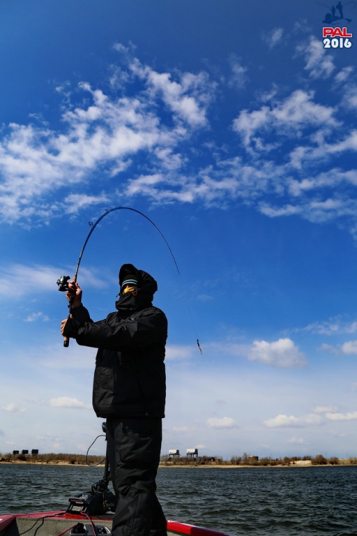 Дневник отборочного этапа турнира Pro Anglers League 2016. Галерея фото 6