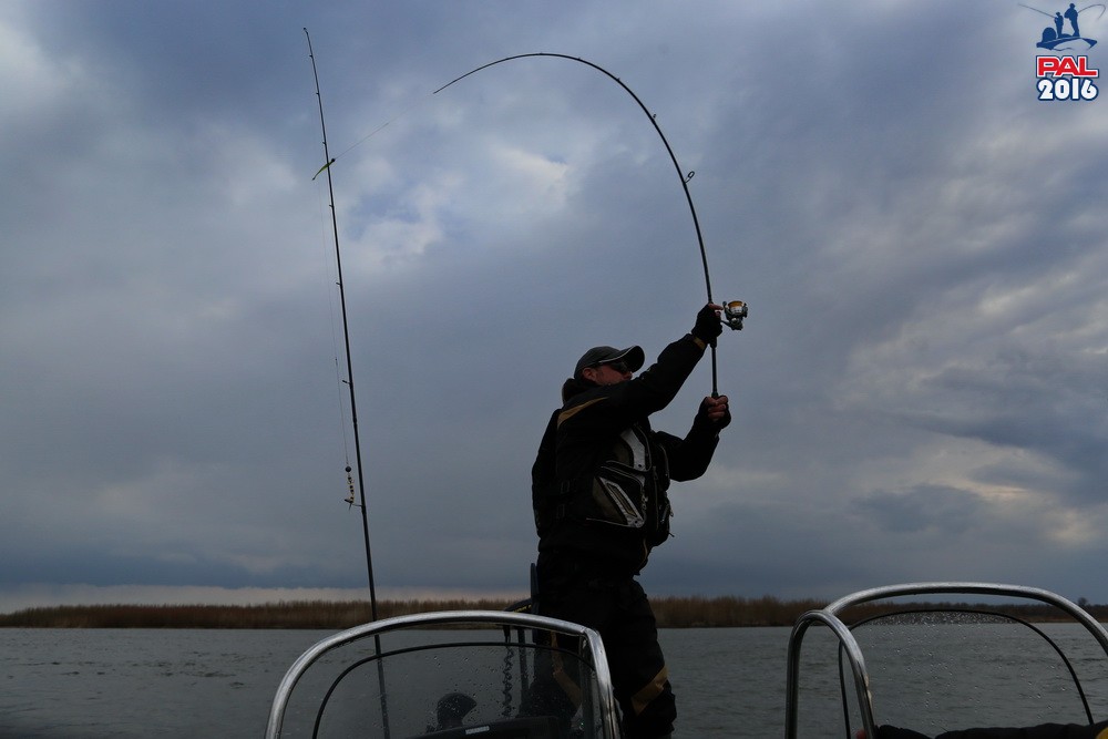 Дневник отборочного этапа турнира Pro Anglers League 2016. Галерея фото 19