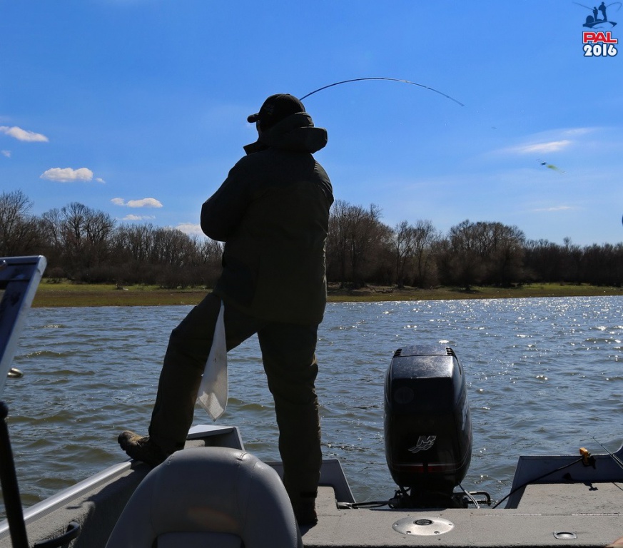 Дневник отборочного этапа турнира Pro Anglers League 2016. Галерея фото 37