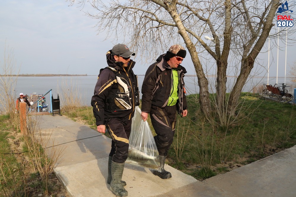 Дневник отборочного этапа турнира Pro Anglers League 2016. Галерея фото 59