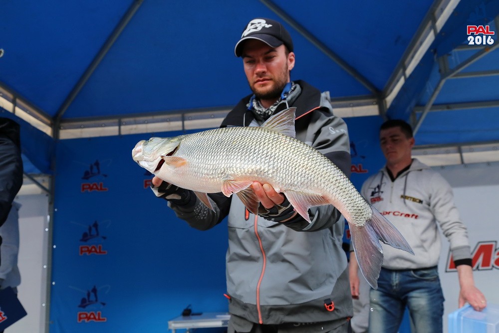 Дневник отборочного этапа турнира Pro Anglers League 2016. Галерея фото 76