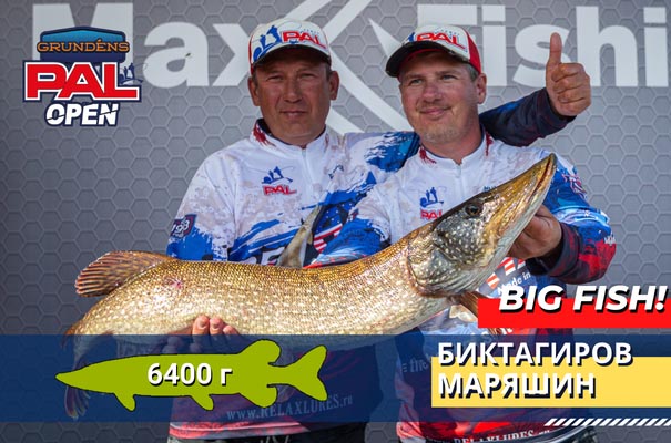 BigFish-site.jpg BigFish-site.jpg