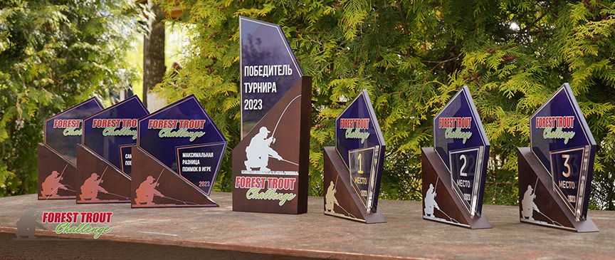 Призы FTC-Results-prizes.jpg