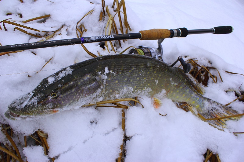 060207.JPG 060207.JPG